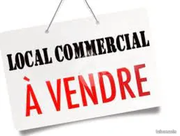 Vente Immobilier Professionnel Murs commerciaux Argelès-sur-Mer 66700